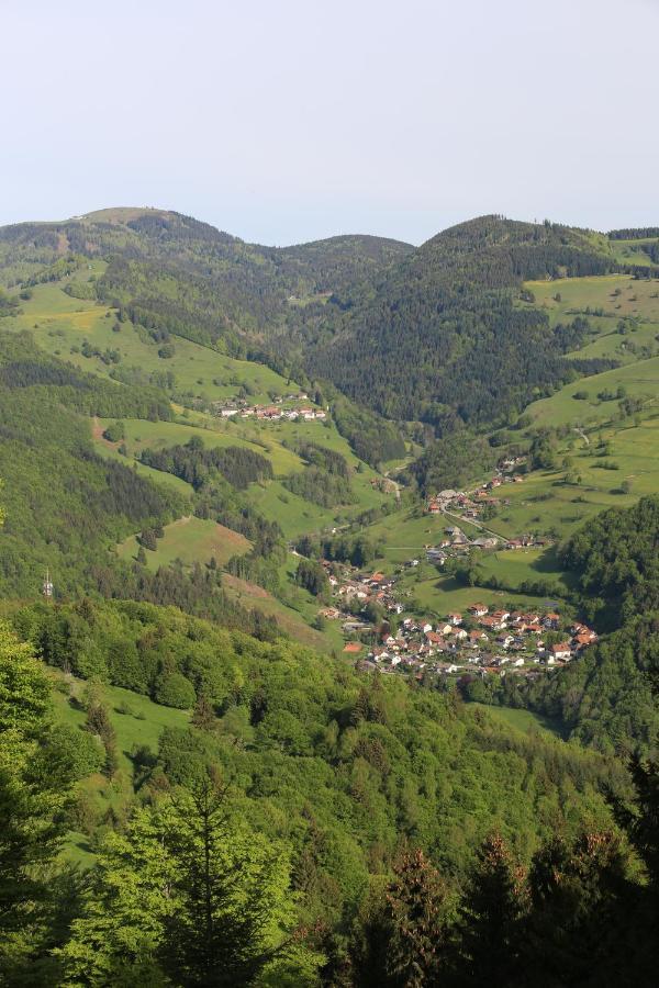 Hotel Kirchbuehl Im Schwarzwald Hotel Schönau im Schwarzwald Exteriér fotografie